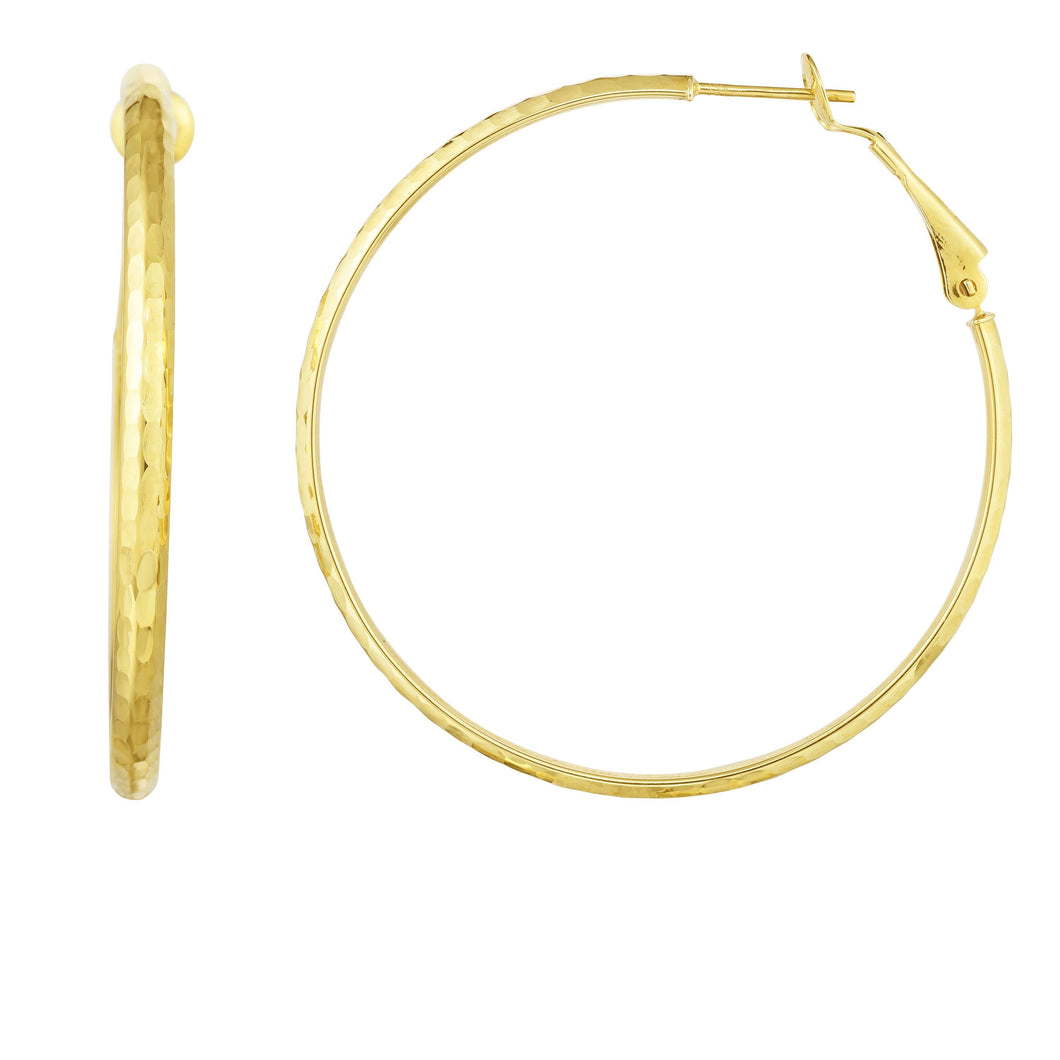 14kt Gold Yellow Finish Earring with Hinged Clasp